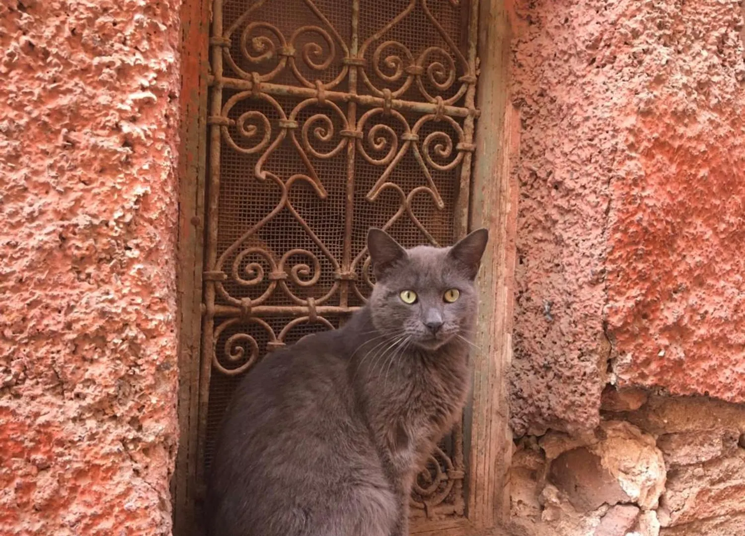 Riad Abbassia Marrakech Premiere Marrakesh